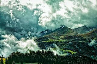 Bosque en Austria, forest Austria