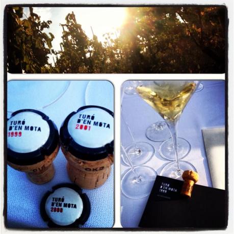 Qué es una emoción: Turó d'en Mota Vertica de Turó d'en Mota per Anna Vicens