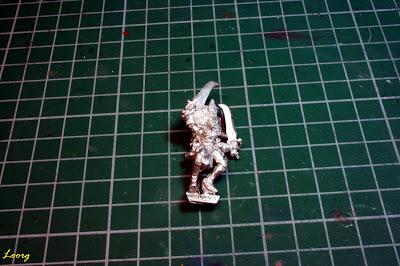 Una Elfa Bruja de Marauder