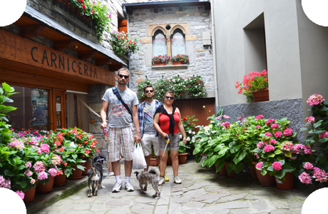 Mercadillo en los Pirineos. Blogger Traveller.