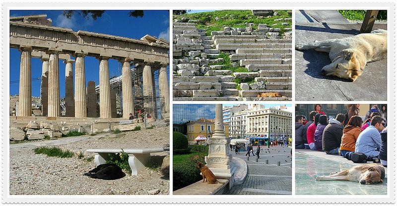 Perros y gatos de Atenas: los otros habitantes de la ciudad