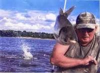 El insospechado peligro de las carpas saltarinas