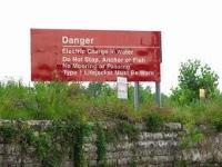 El insospechado peligro de las carpas saltarinas