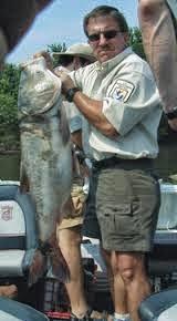 El insospechado peligro de las carpas saltarinas