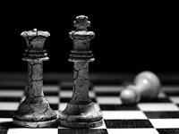 Pequeseña: Campos de fresas