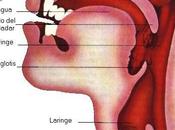 Riesgo atragantamiento alimentando bebé