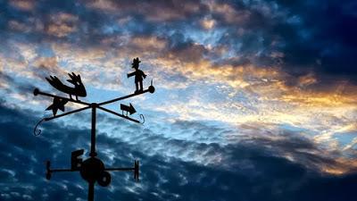 EL LIBRO... EL LIBRO...