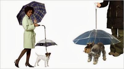 Irresistibles... Preparados para la lluvia