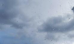 Detalles de otoño: Tarde de lluvia