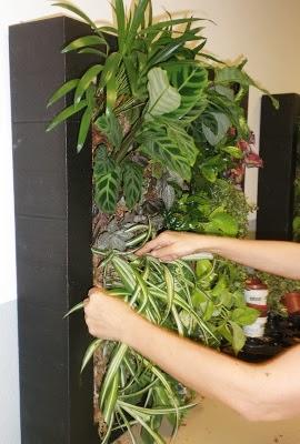 Curso de jardines verticales en Madrid – Nueva Edicion