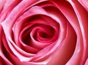 Roses, fragancia delicada para mujer Chloé