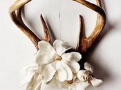 Tendencias vienen norte...cuernos pared