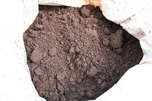 465472426 ab35233e0a El humus y la fertilidad de tu huerto urbano