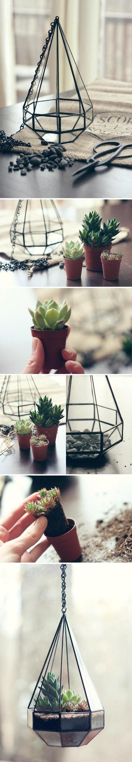 DIY Terrario decorativo