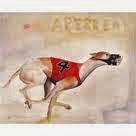 Atrapapalabras: Aperrear