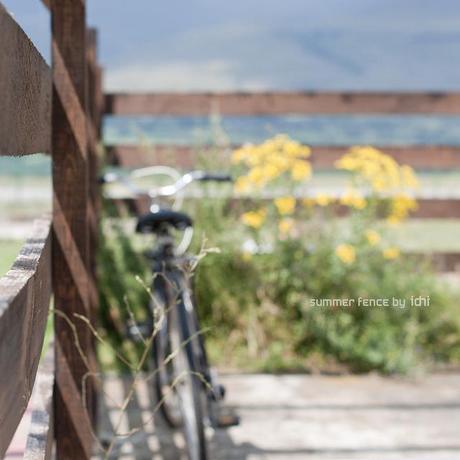 Colección otoño de idni summer fence