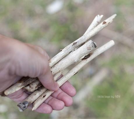 Colección otoño de idni little logs