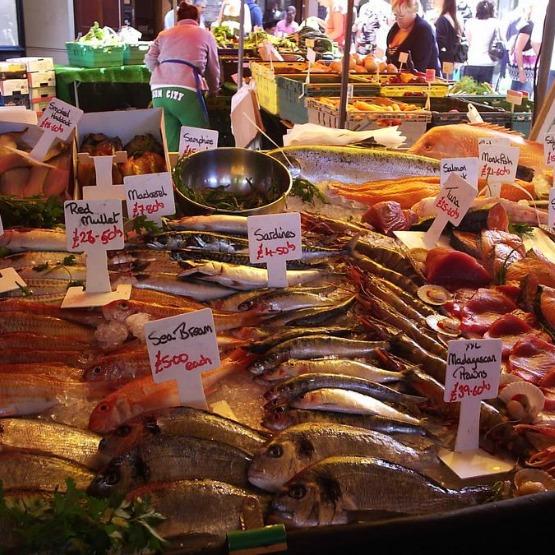 London-Borough-Market-Fish1