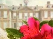 Próxima publicación...26 noviembre