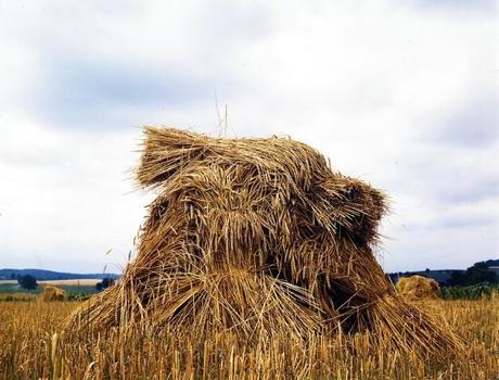 Crecen los proyectos sostenible basados en residuos agrícolas y ganaderos