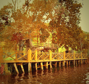 depsicologia15072009