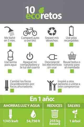 ¿aceptas el reto para salvar un árbol cada año?