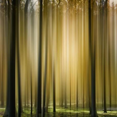 nuncalosabre.Disturbing the Spirits - Ellen Jantzen