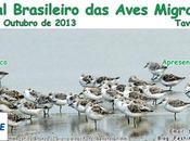 Festival Brasileiro Aves Migratórias (Tavares, Brasil)