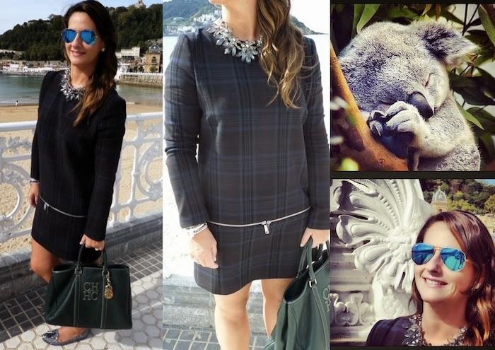 Snapshots of the week 12