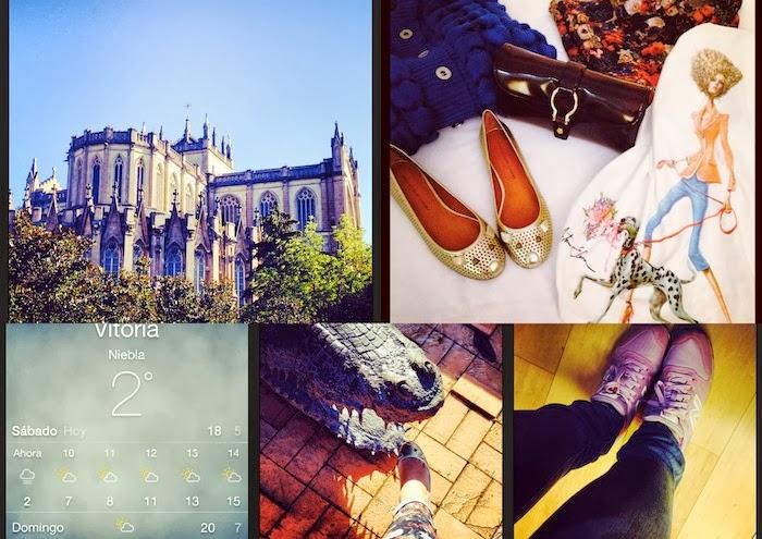 Snapshots of the week 12