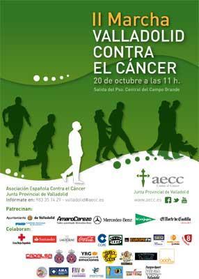 Un luminoso espacio abierto solo en blanco