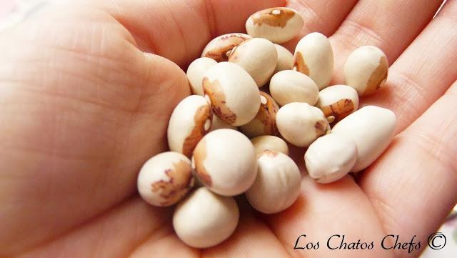 Whole Kitchen en su Propuesta Salada para el mes de octubre nos invita a preparar un clásico de la cocina italiana: SOPA MINESTRONE