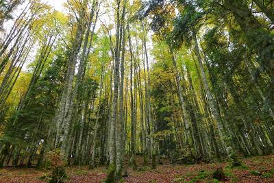OCTUBRE TIENE R PERO NO ME GUSTA POR ESO.