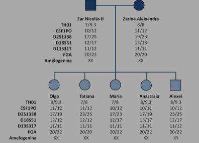 Genética Aplicada La tragedia de los Romanov1