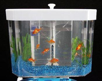 Fishn Flush : Un  acuario en tu inodoro