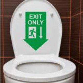 Adhesivos decorativos para  inodoros