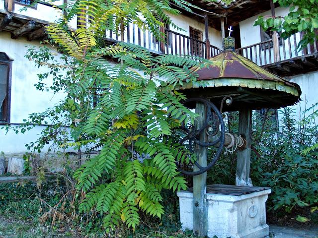 Monasterios de Bachkovo y Preobrazhenski