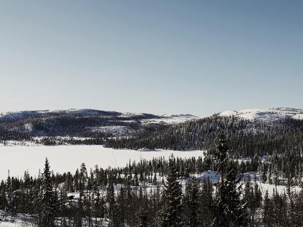 identidad hedda hytter noruega