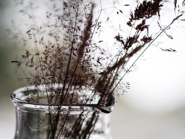 identidad hedda hytter noruega