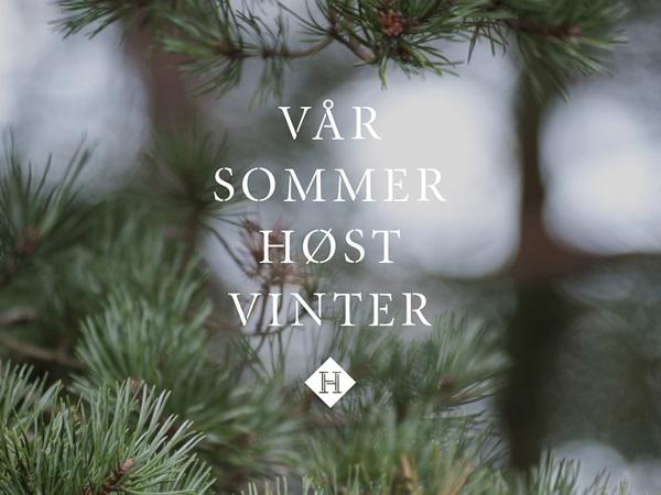 identidad hedda hytter noruega