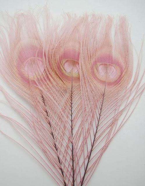 Hoy soñamos en rosa...