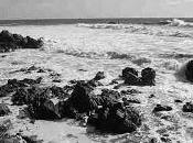 Sirenas, nuevas evidencias