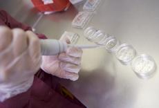 GENOCIDIO LEGALIZADO EN URUGUAY