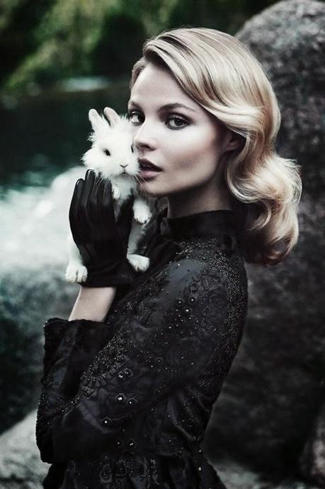 Testar en Animales: ¿Sí o No?