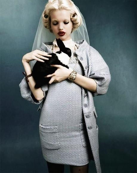 Testar en Animales: ¿Sí o No?