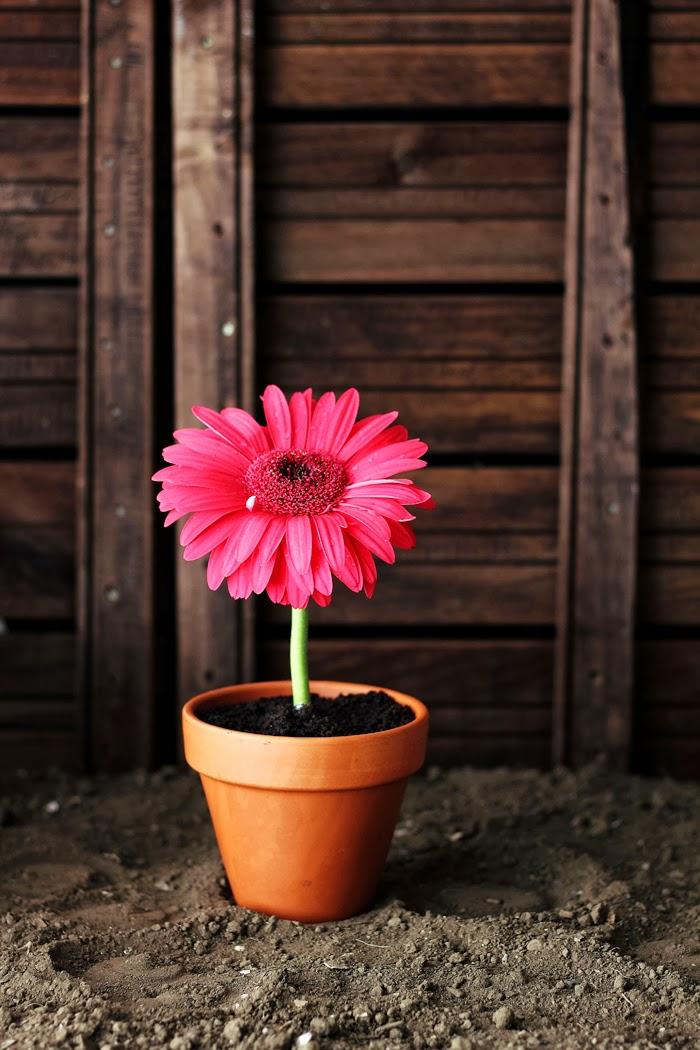 UN INSTANTE DULCE CONTRA EL CANCER DE MAMA