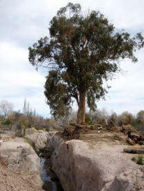 Mochileando por Chile. Día 12: Salar de Atacama y Valle de la Luna