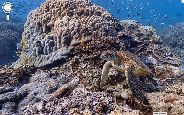 los lugares más remotos de Google Street View