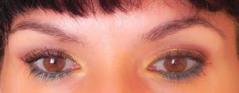 Detalles de otoño: Hojas secas