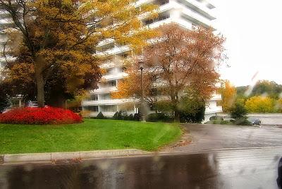 Escenas de un día lluvioso